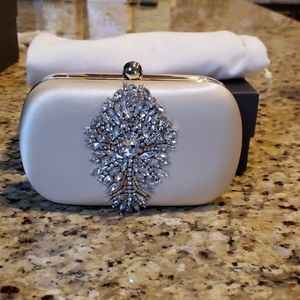 Badgley Mischka clutch